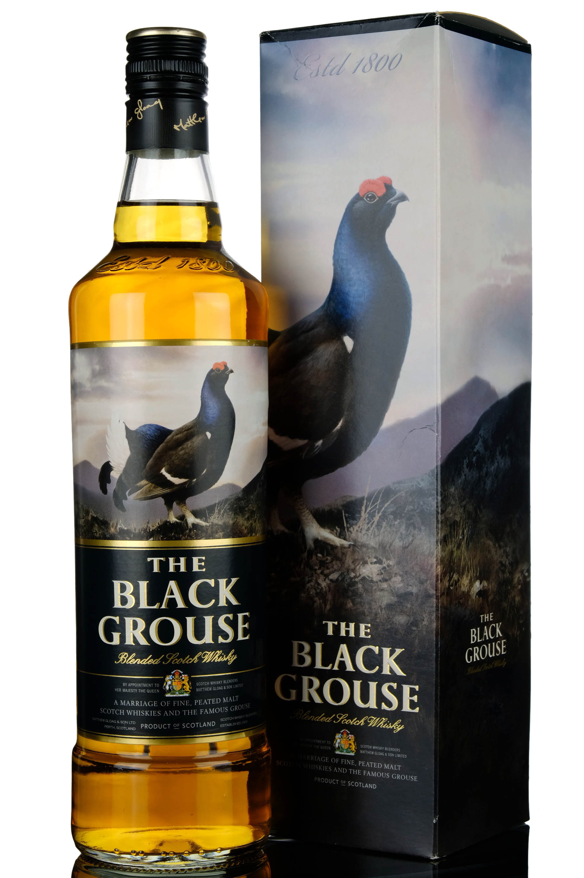 Black Grouse