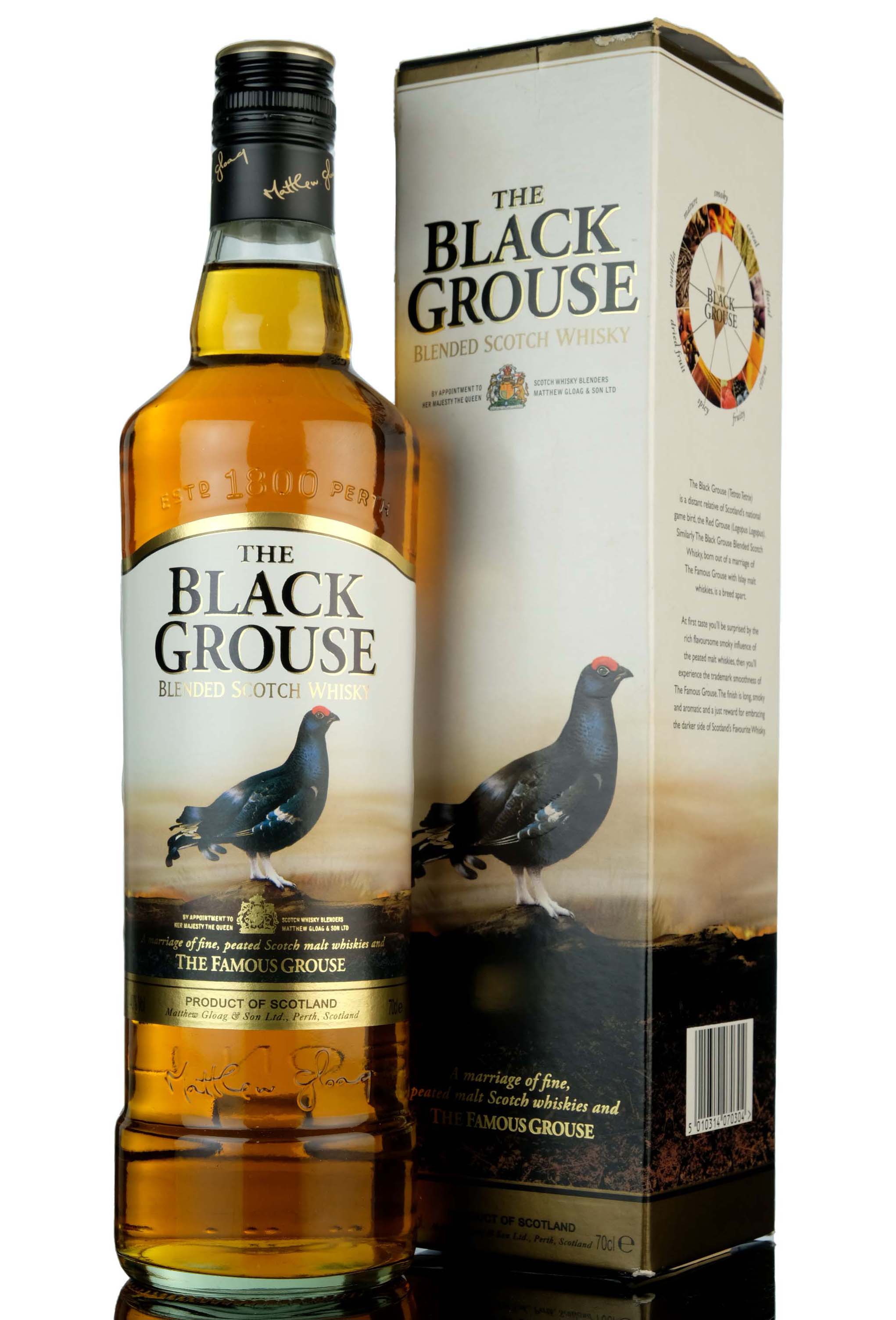 Black Grouse