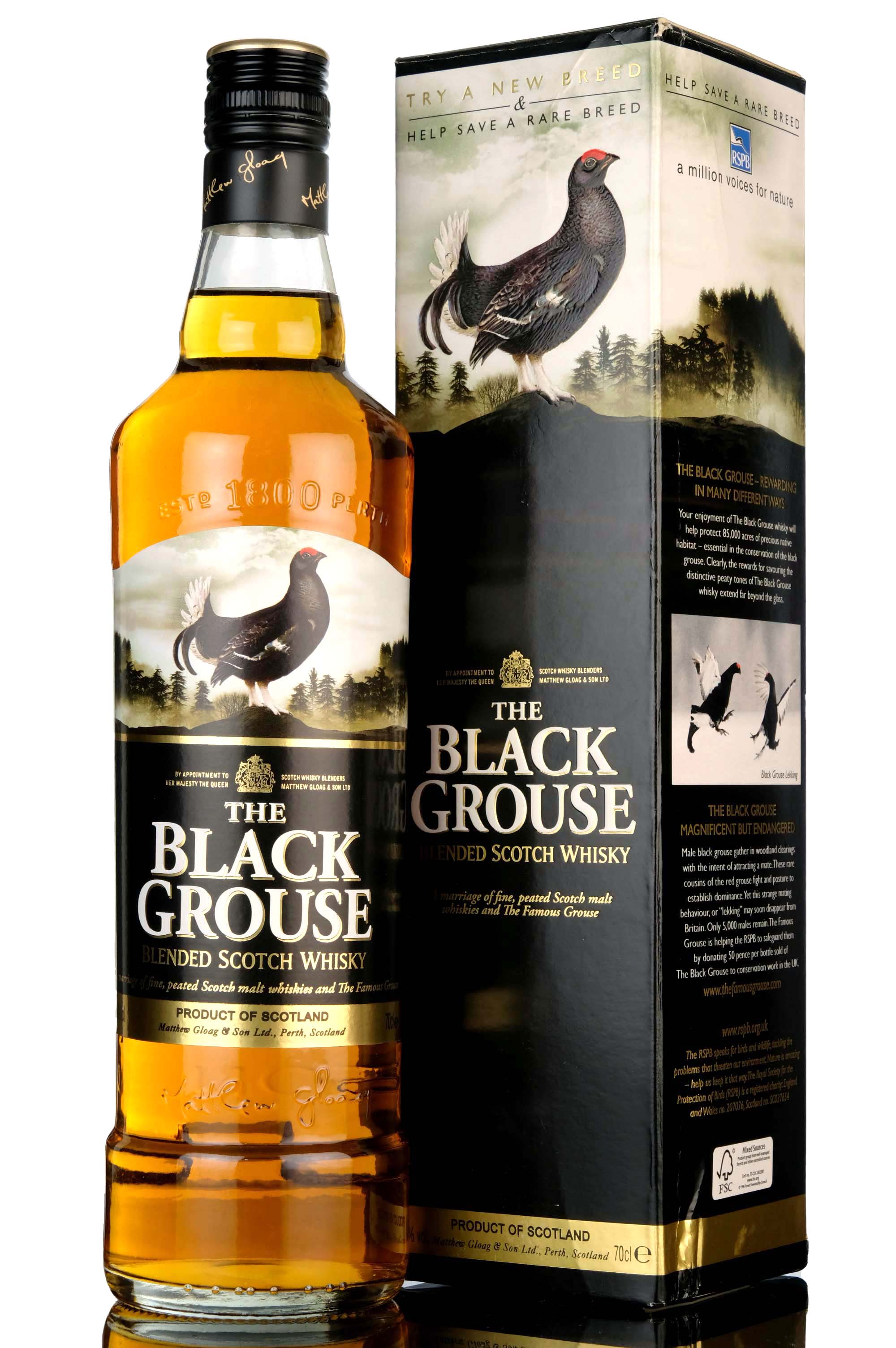 Black Grouse