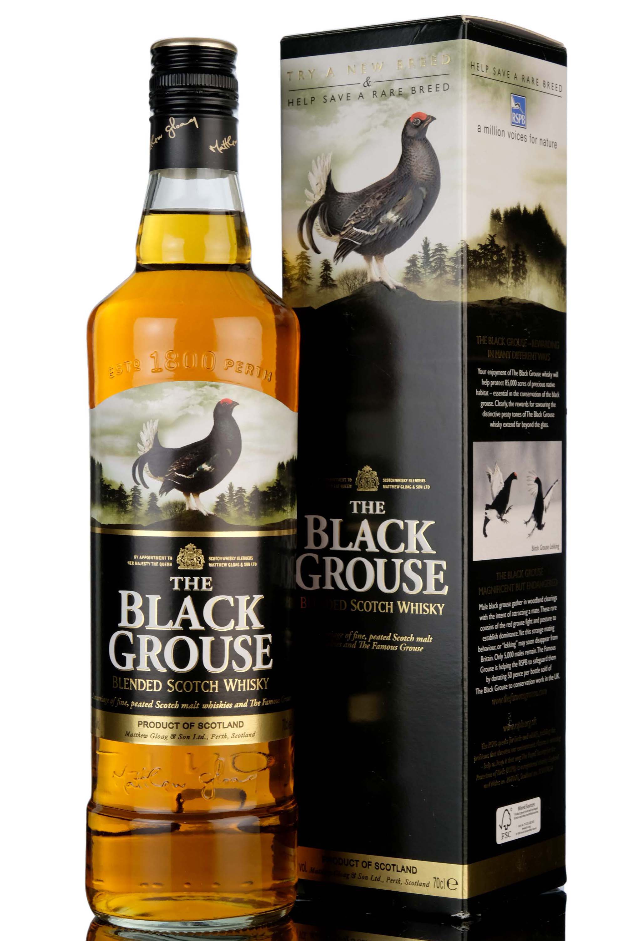 Black Grouse