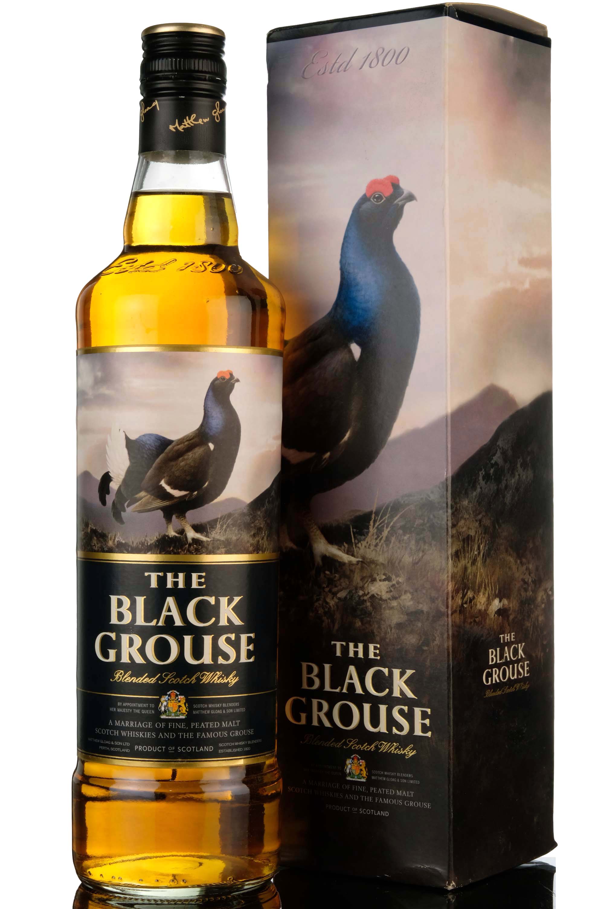 Black Grouse