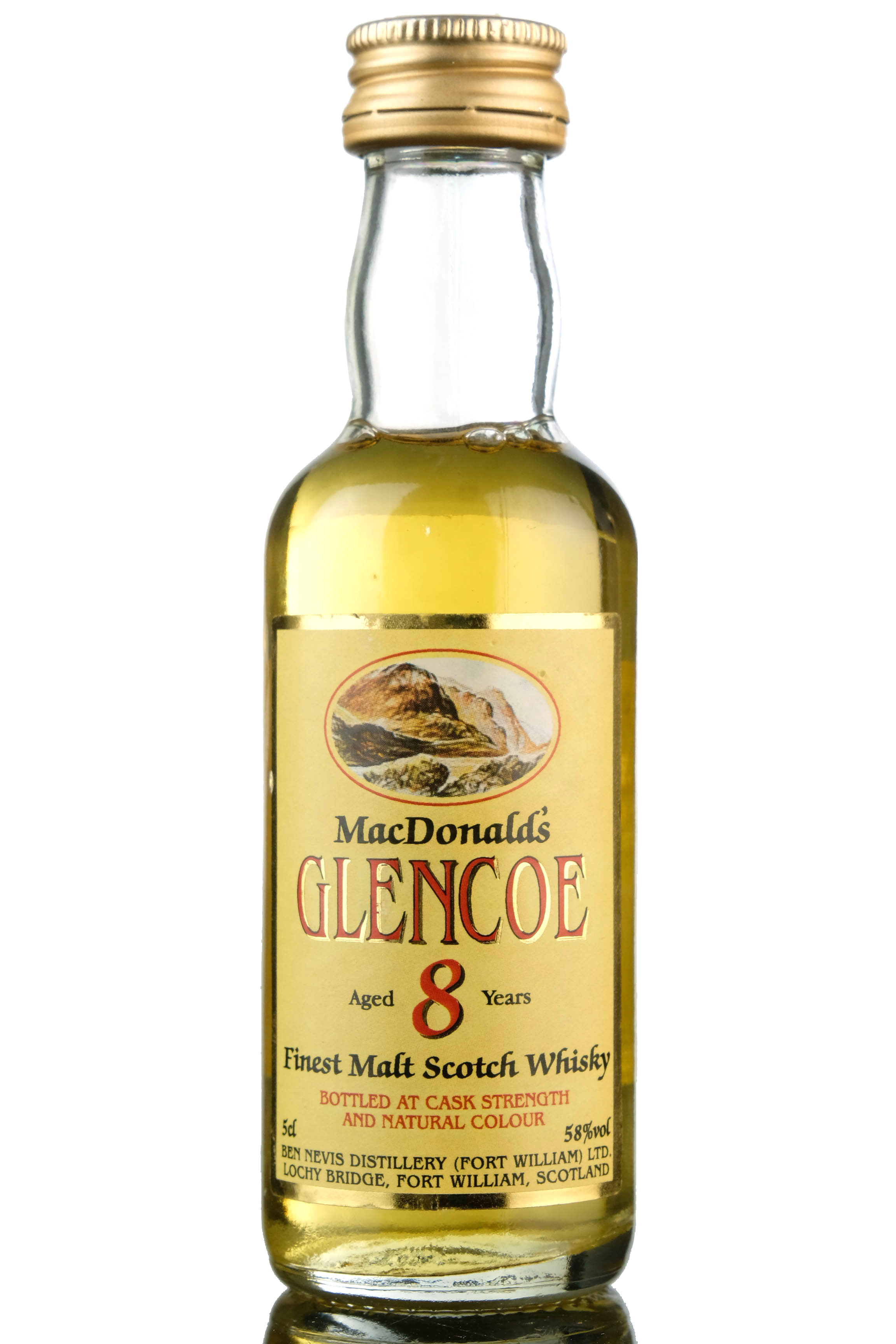 Glencoe 8 Year Old Miniature