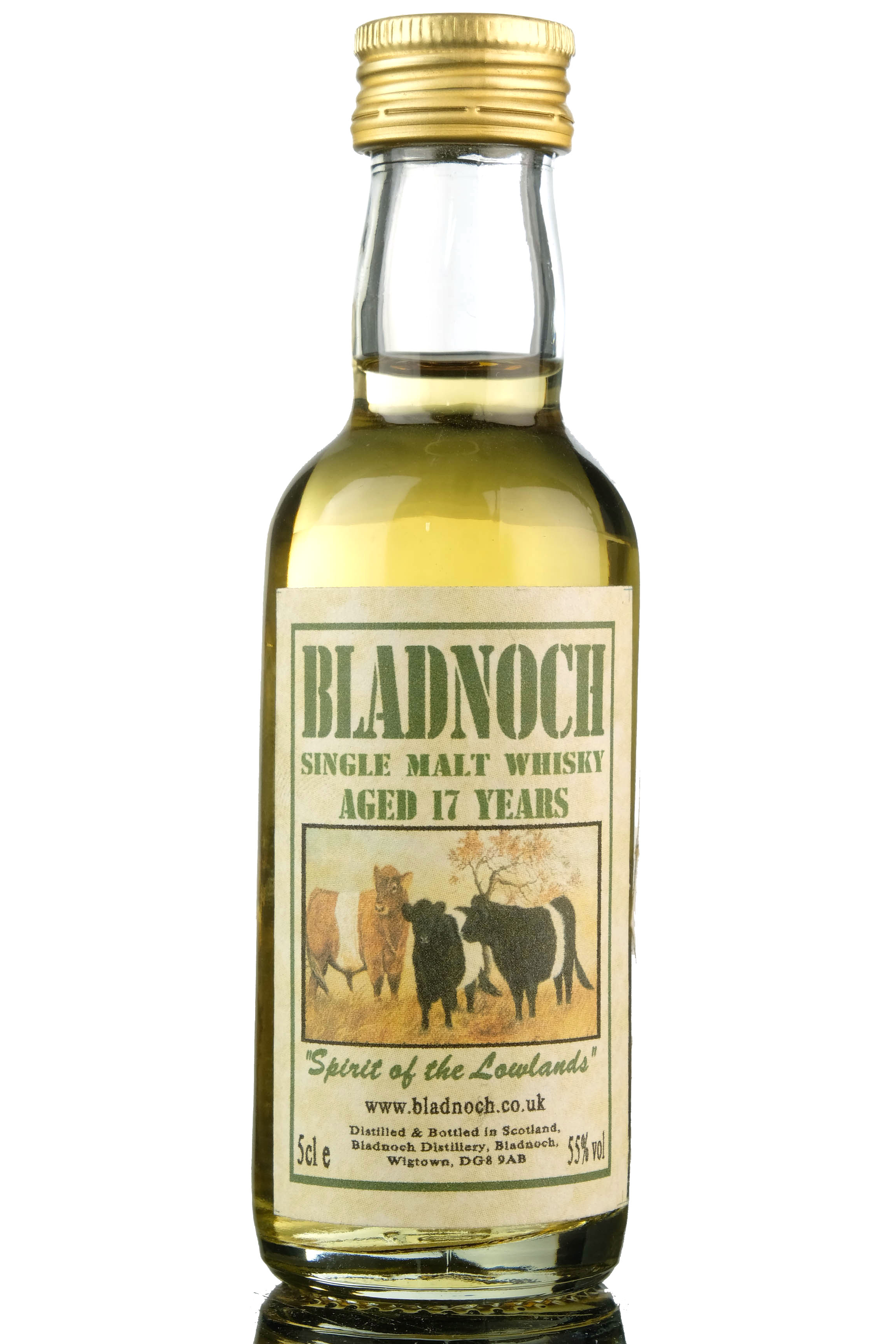 Bladnoch 17 Year Old - Spirit Of The Lowlands Miniature
