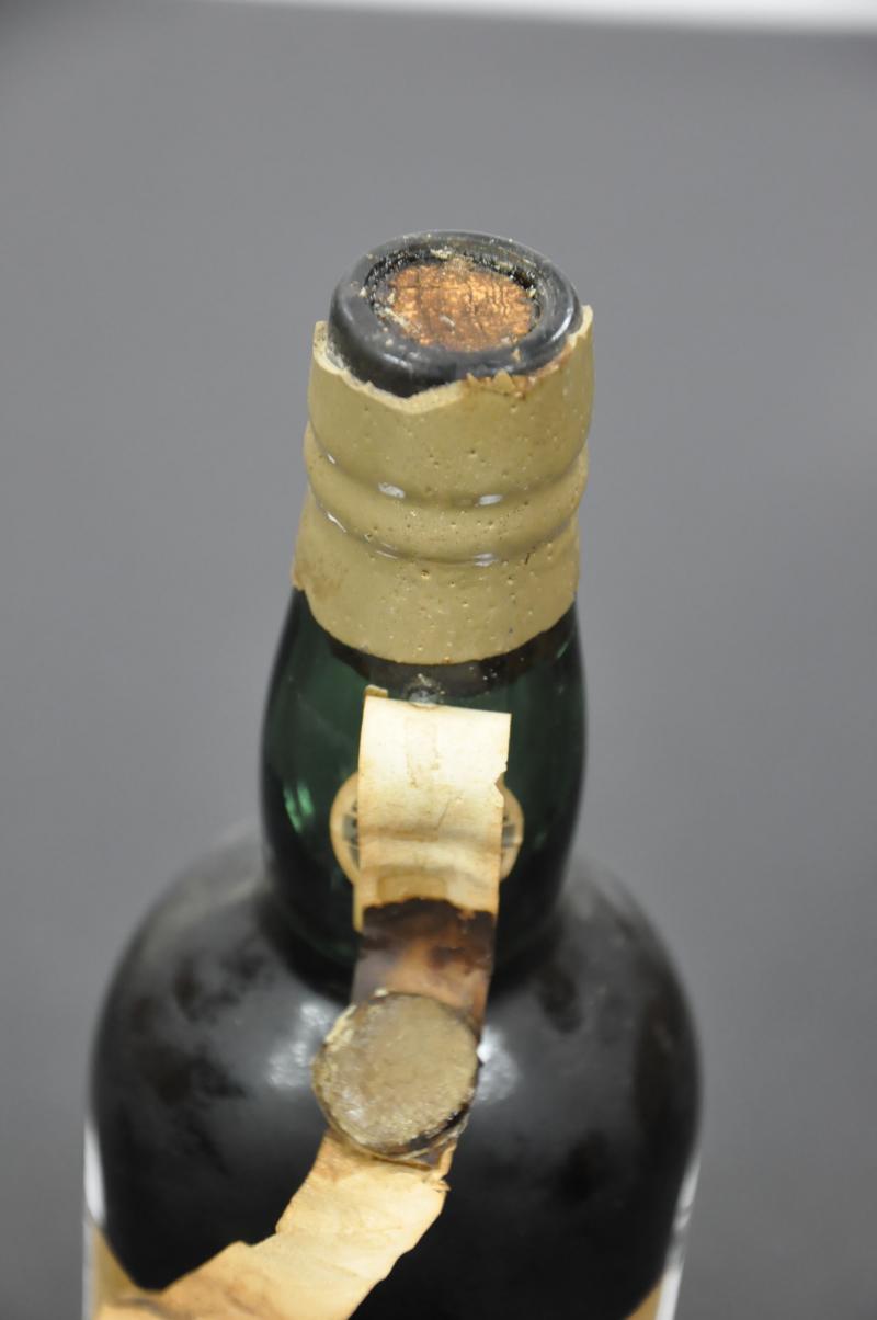 Burmester Novidade 1890