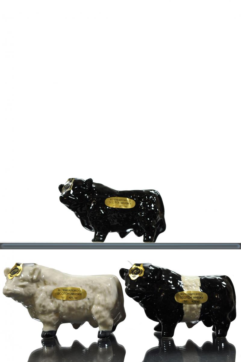 3 x Bulls - Rutherfords Miniature