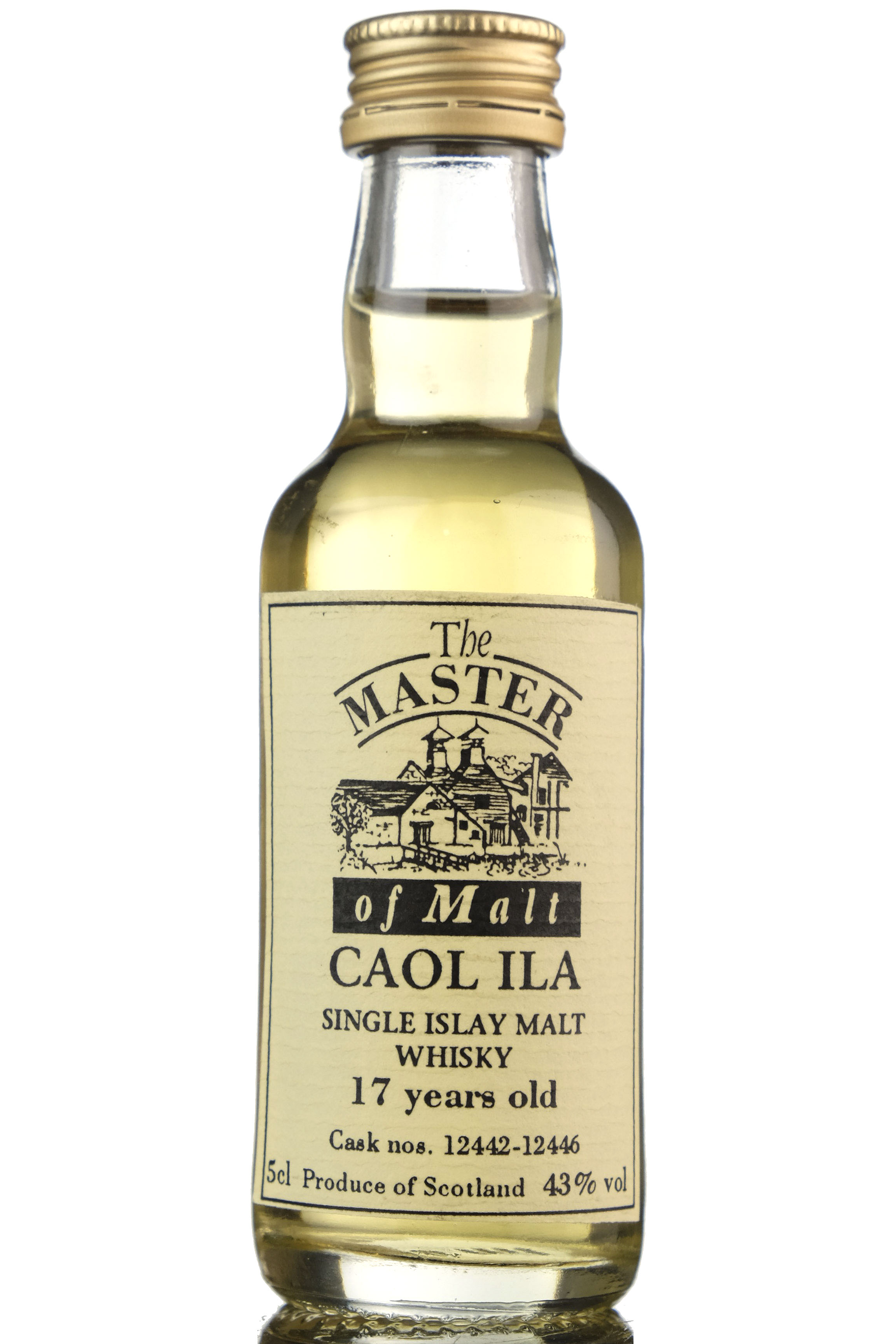 Caol Ila 17 Year Old - Master Of Malts Miniature