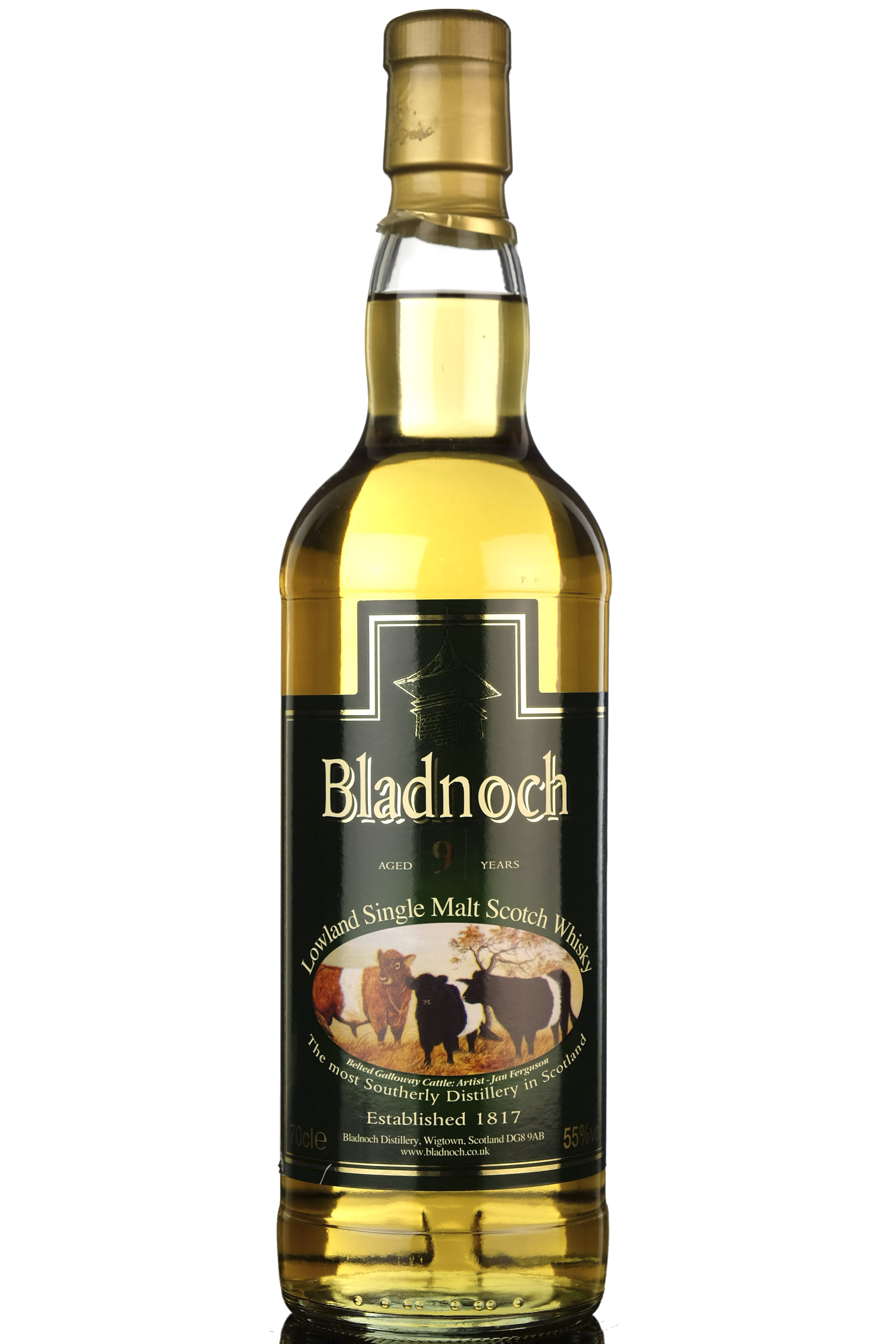 Bladnoch 9 Year Old