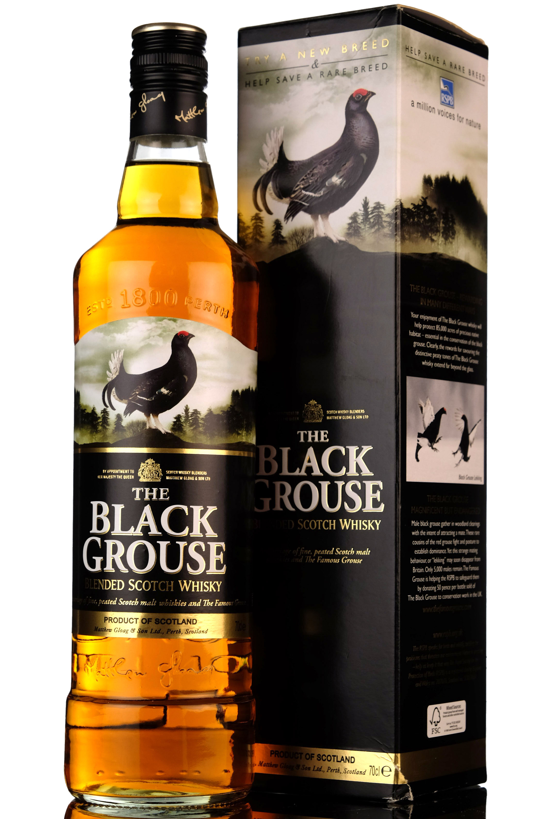 Black Grouse