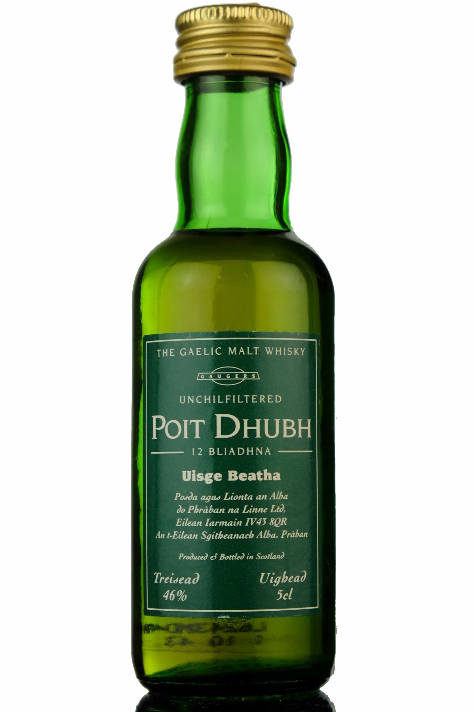 Poit Dhubh 12 Year Old Miniature