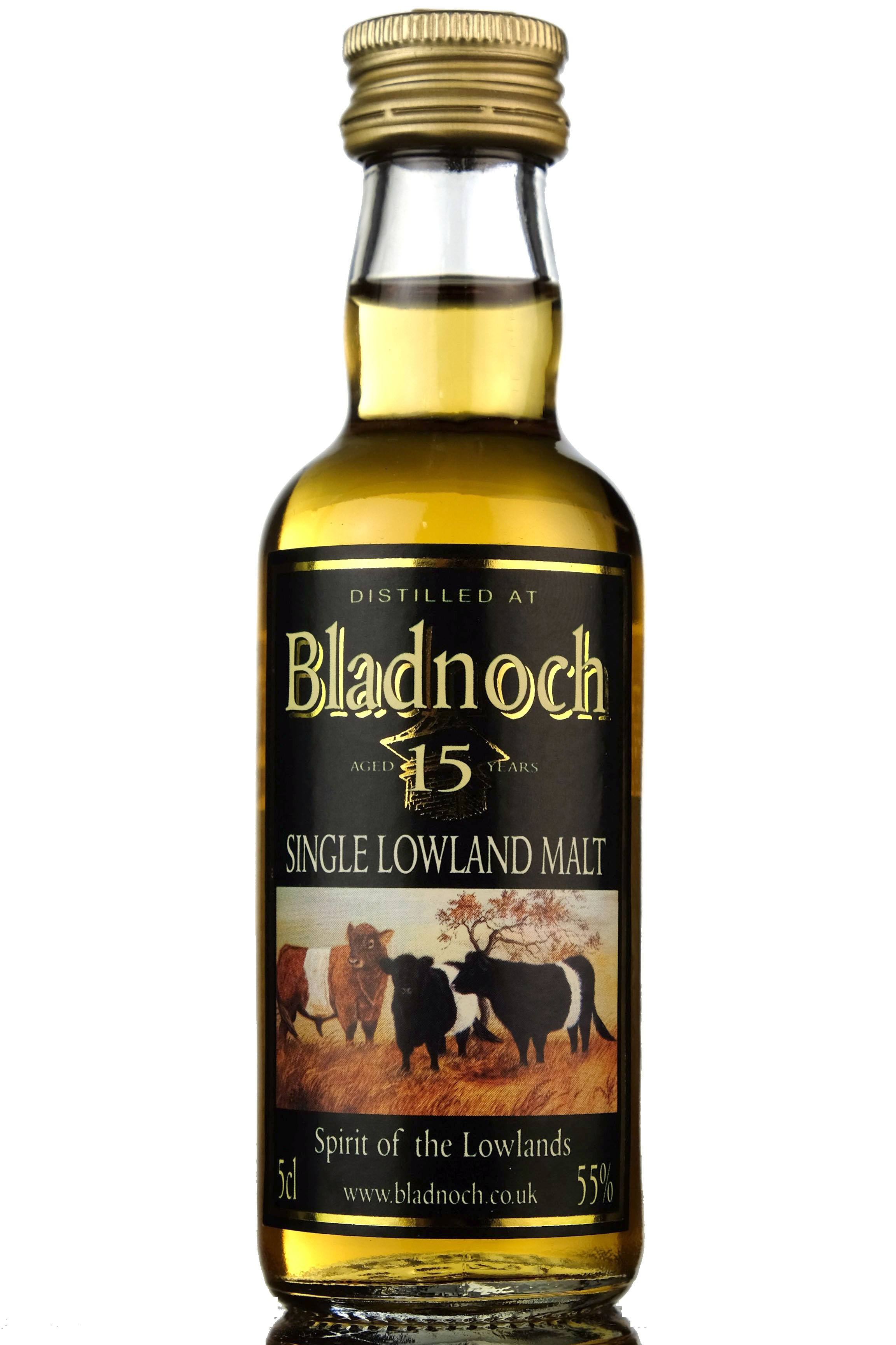 Bladnoch 15 Year Old - Spirit Of The Lowlands Miniature