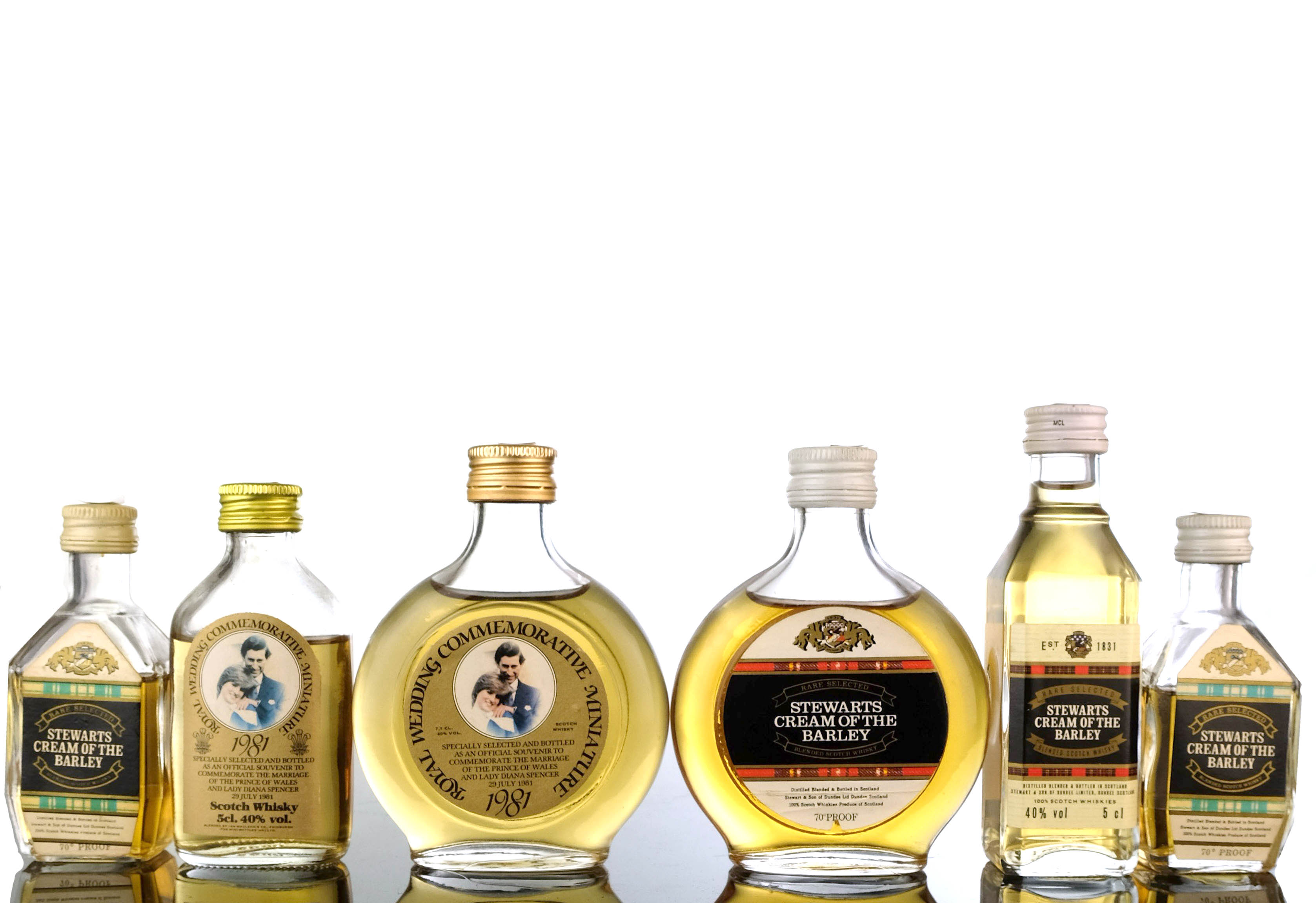 6 x Blended Miniatures