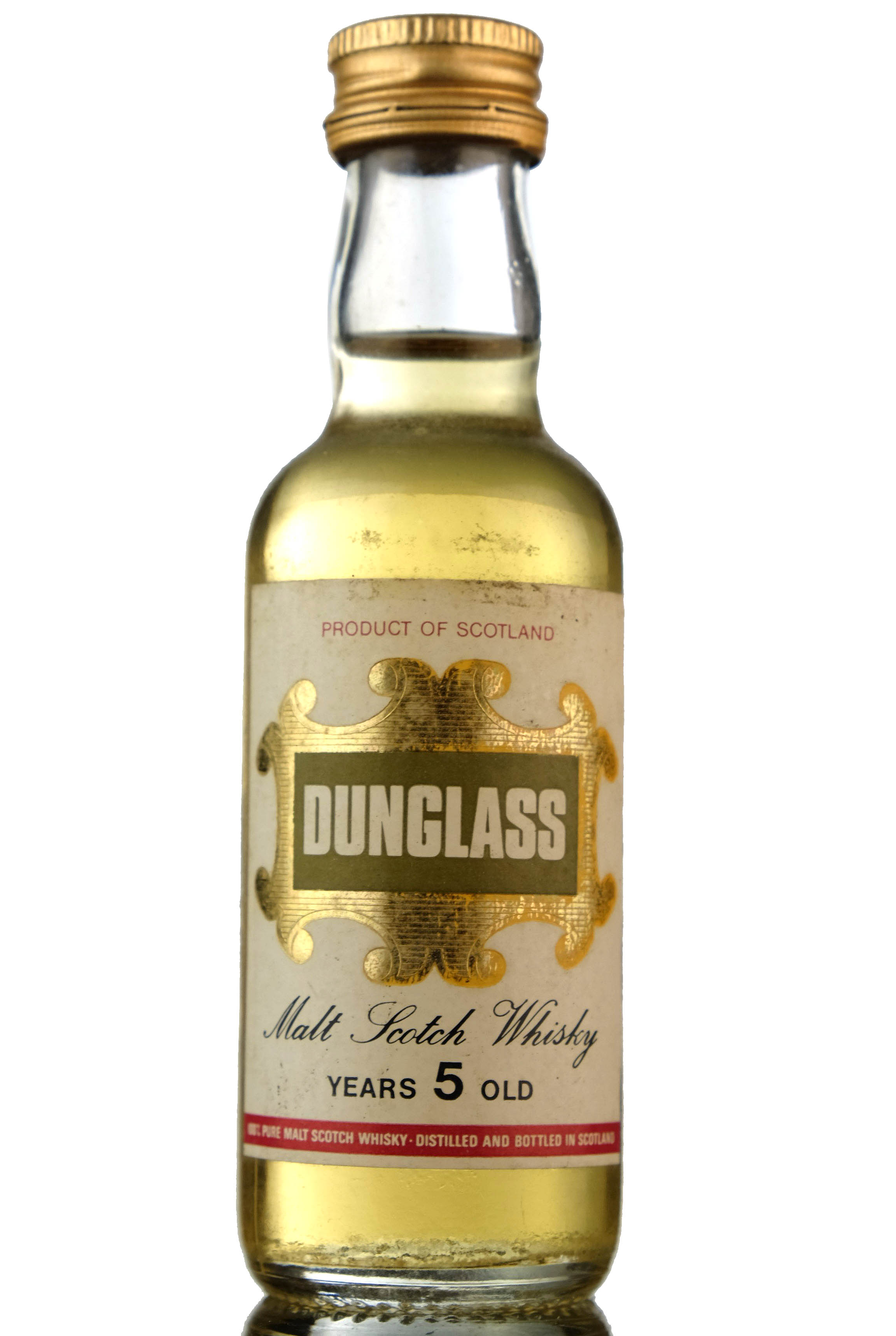 Dunglass 5 Year Old Miniature