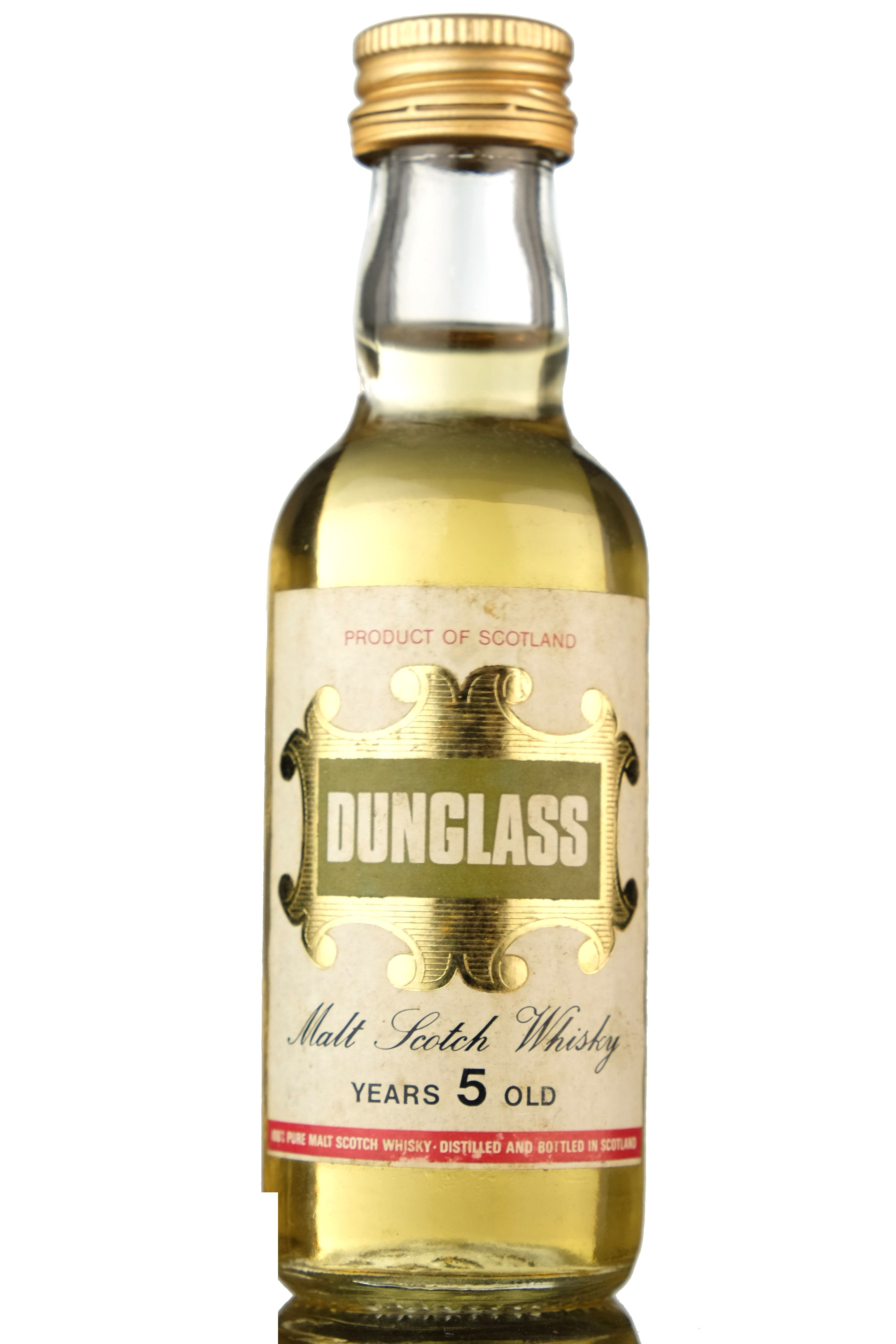 Dunglass 5 Year Old Miniature