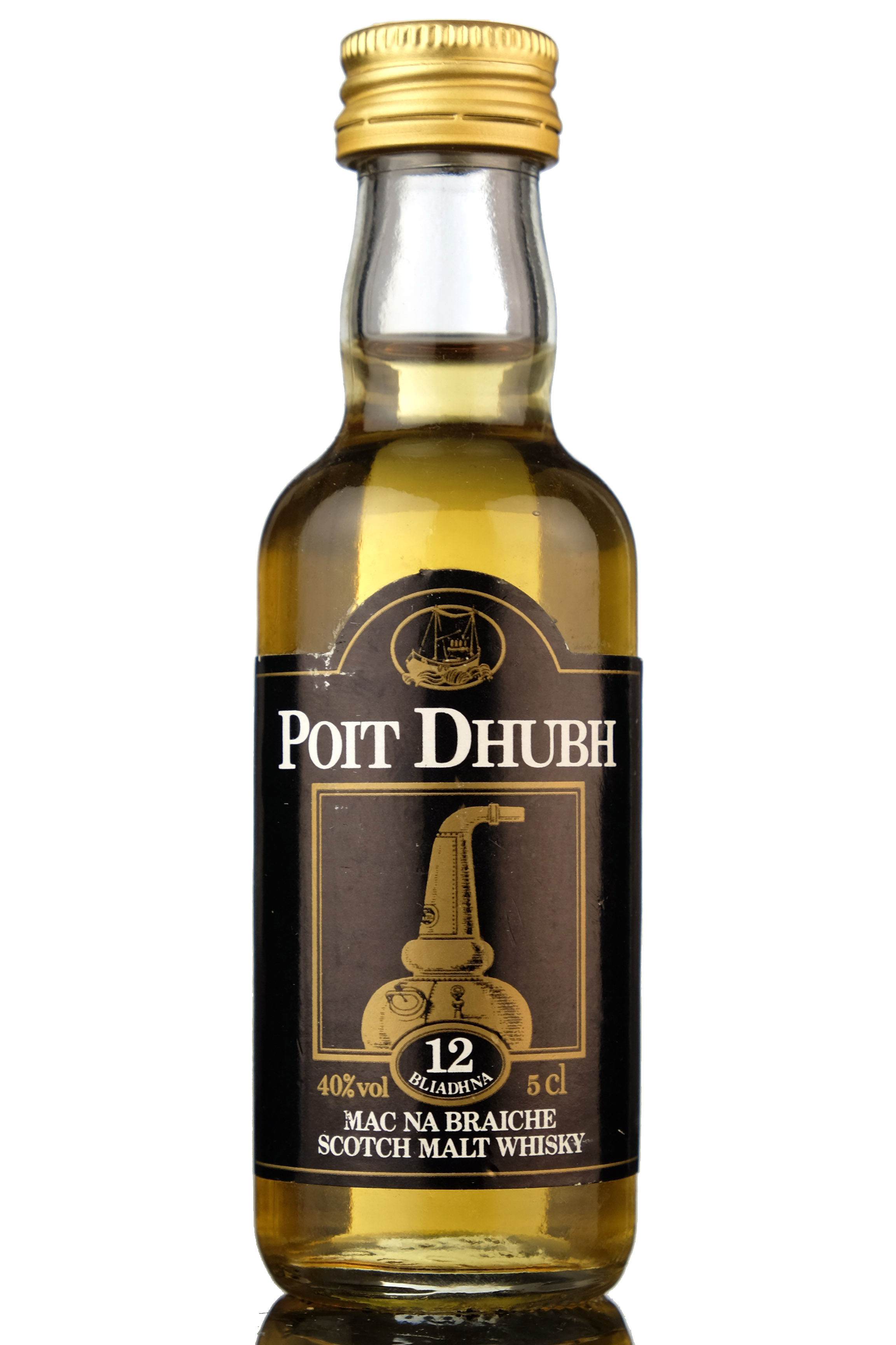 Poit Dhubh 12 Year Old Miniature