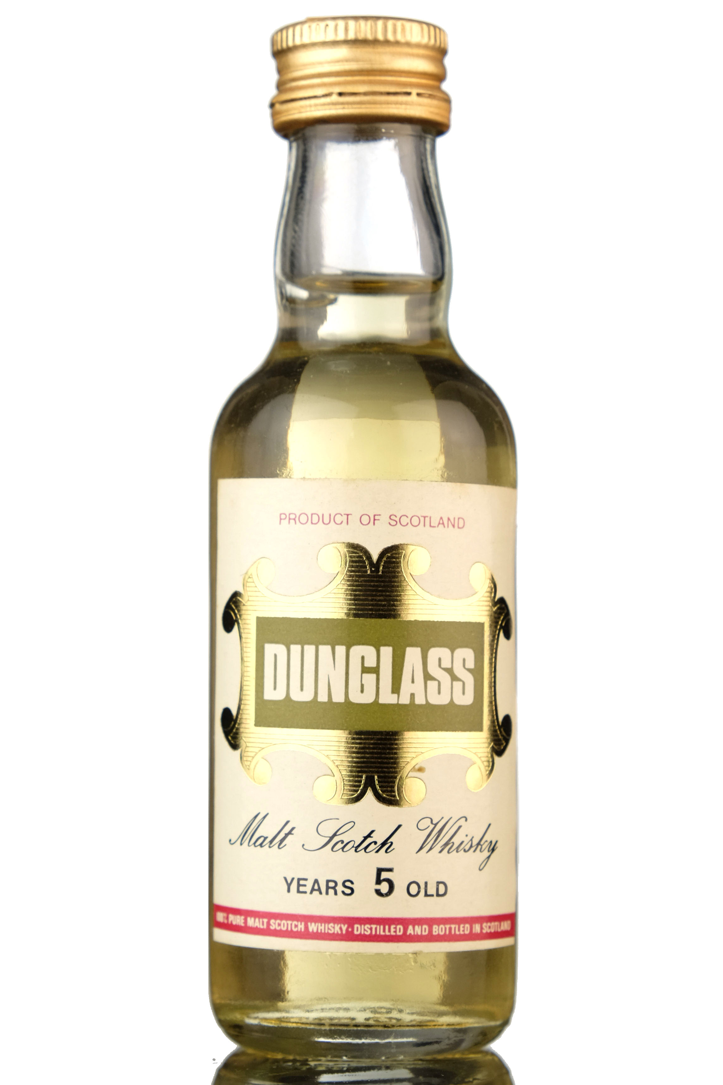 Dunglass 5 Year Old Miniature