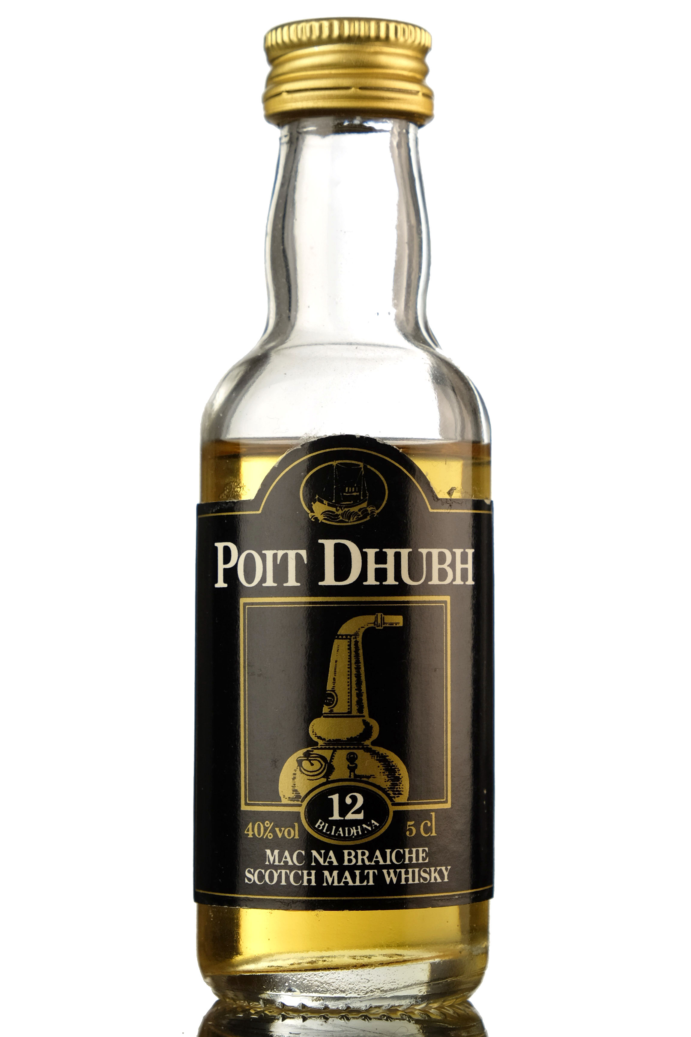 Poit Dhubh 12 Year Old Miniature