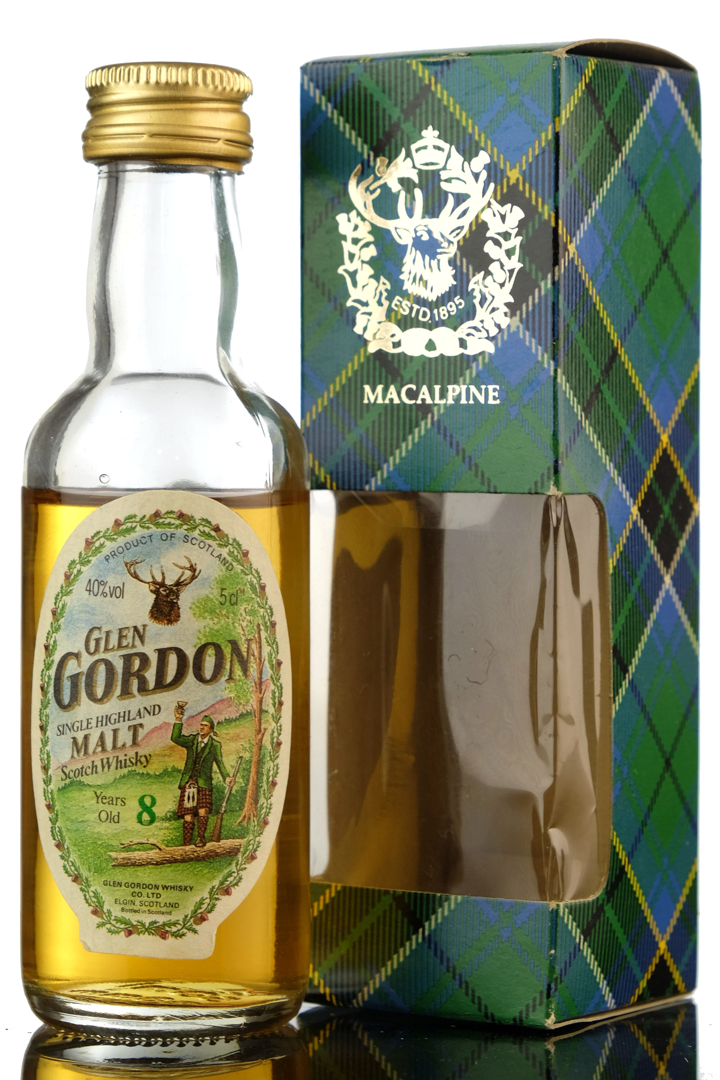 Glen Gordon 8 Year Old Miniature