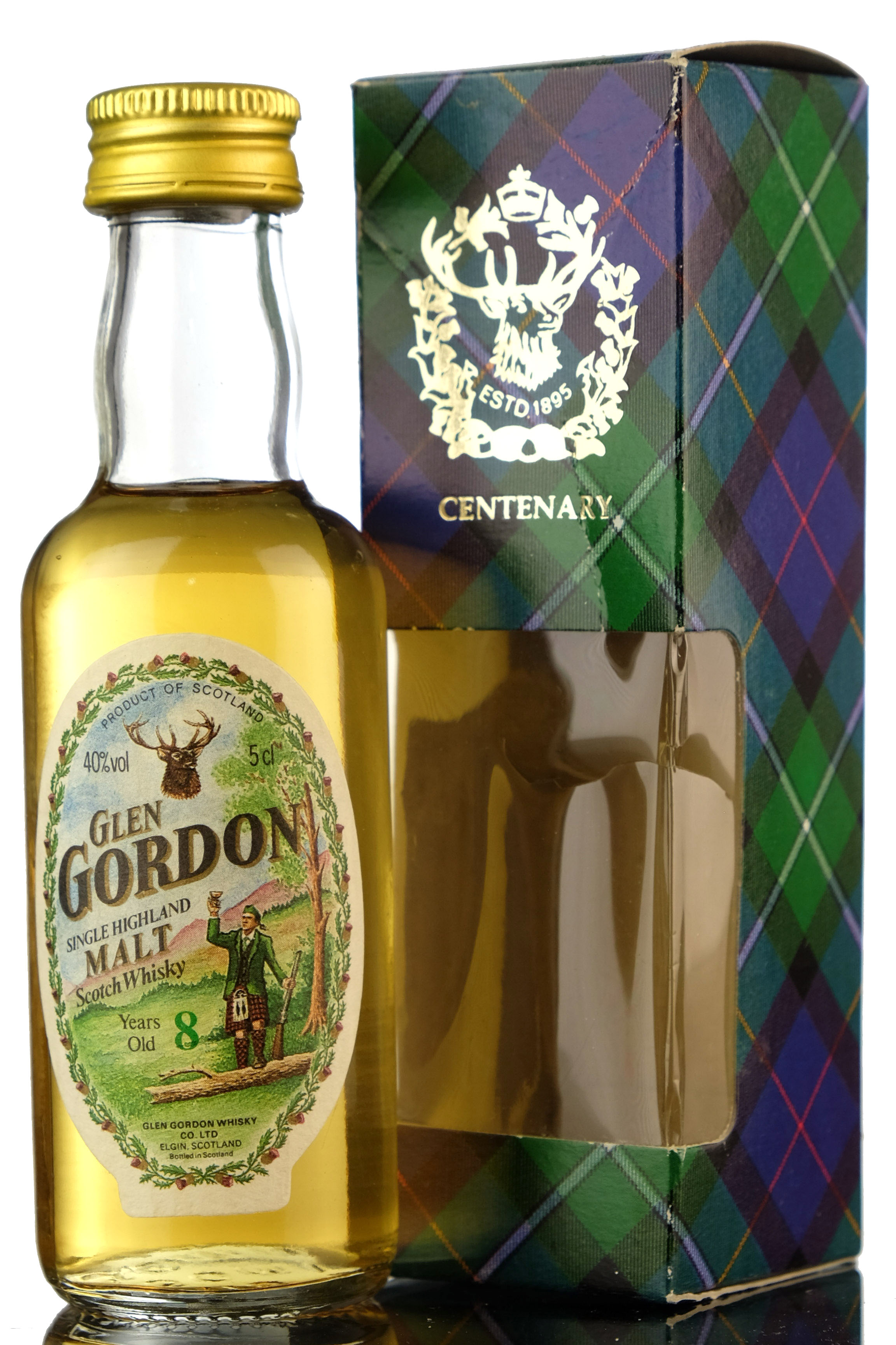Glen Gordon 8 Year Old Miniature