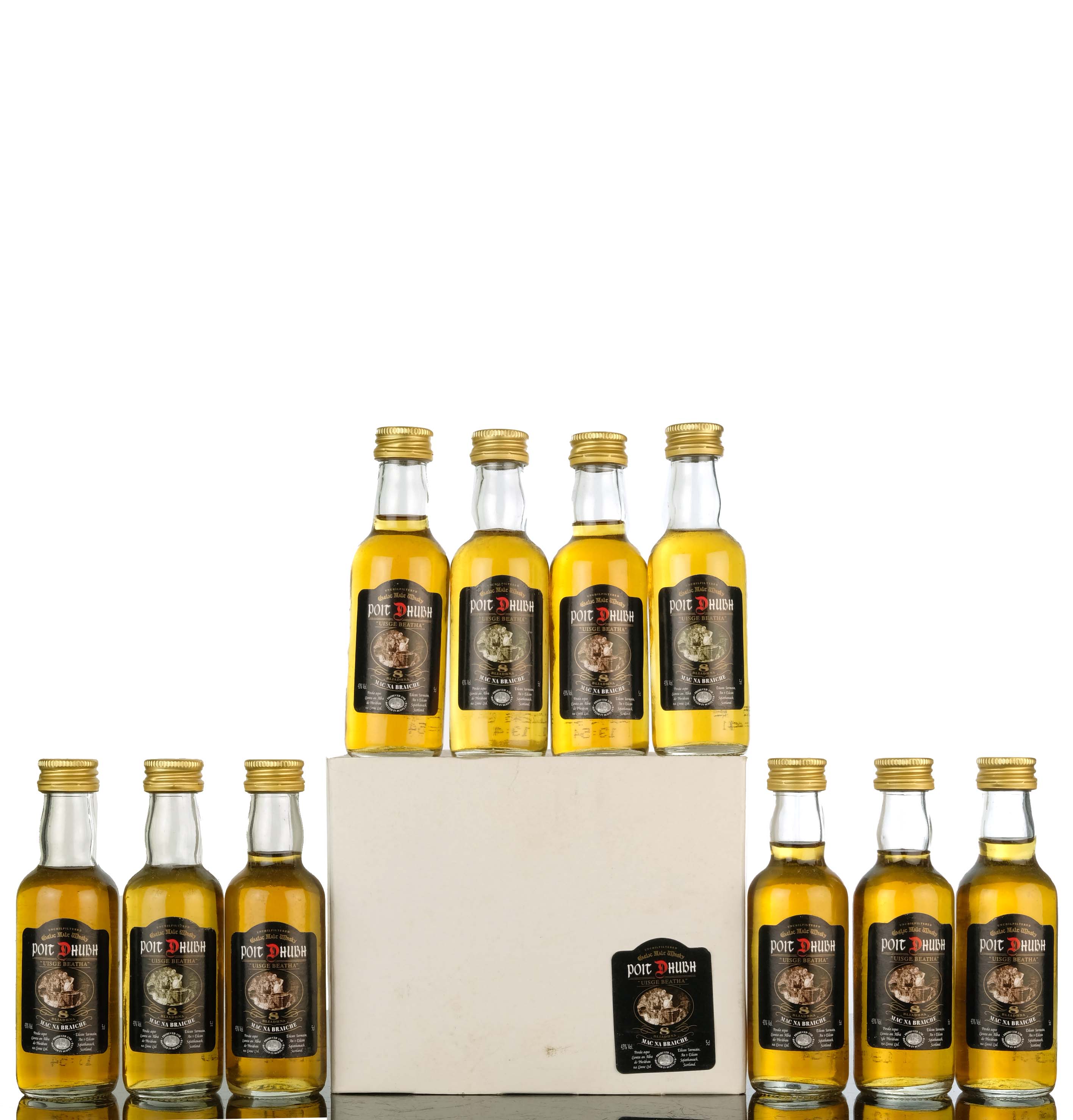 10 x Poit Dhubh 8 Year Old Miniatures