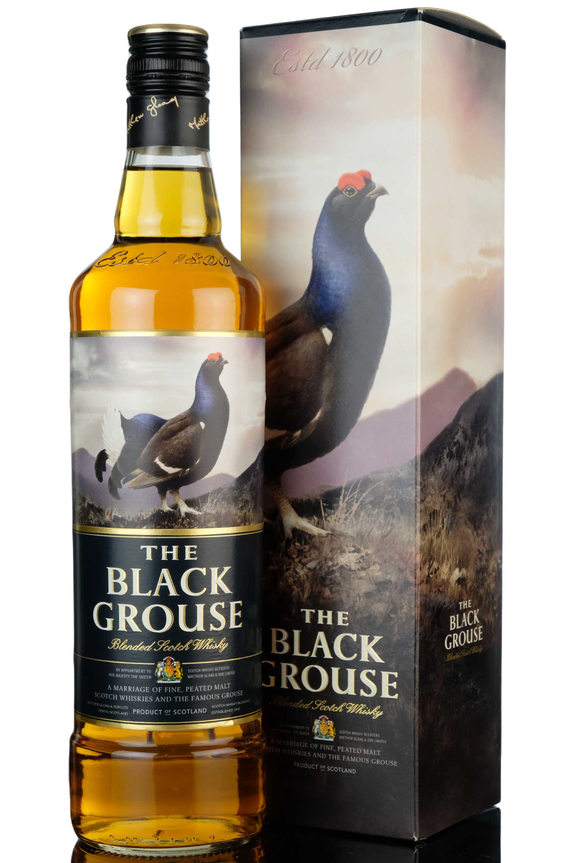 Black Grouse